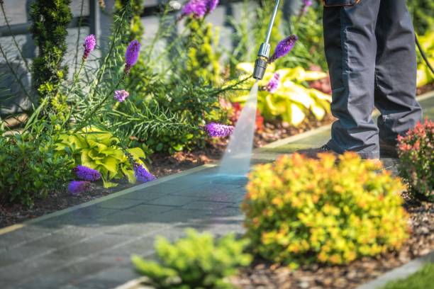Best Warehouse Cleaning  in Clarks Summit, PA